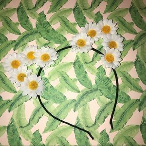 White Daisy Meowers🐱